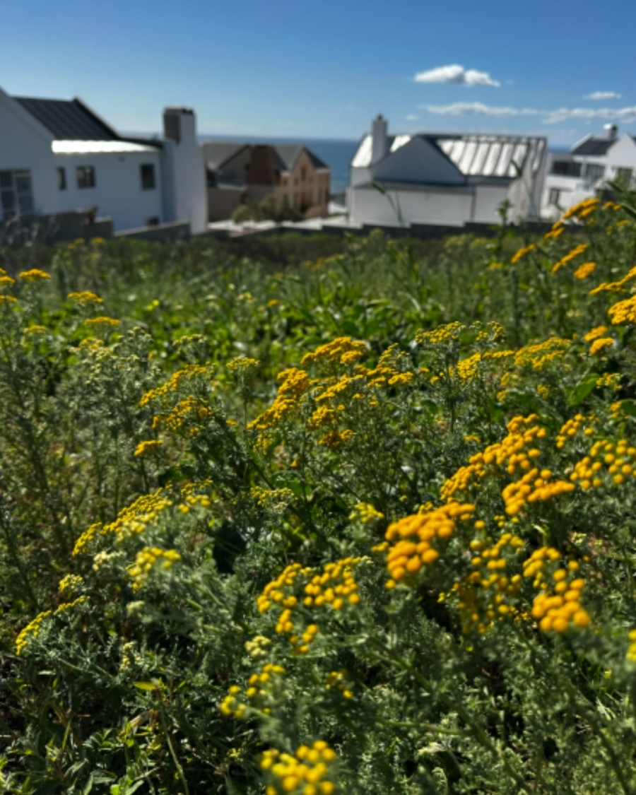 0 Bedroom Property for Sale in Da Gama Bay Western Cape